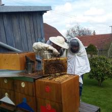 Návštěva u včelaře (Lesní MŠ Doma v lese)