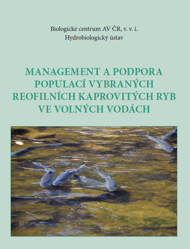 Management a podpora populací kaprovitých ryb 