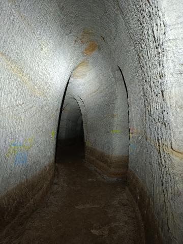 foto z ortů