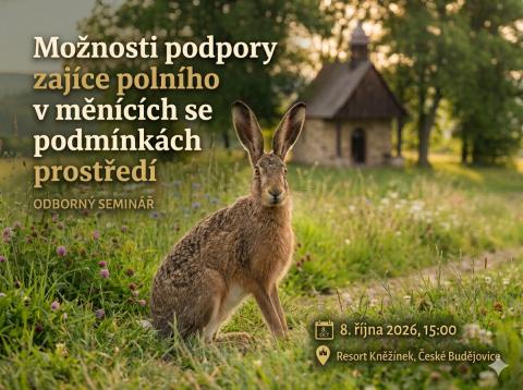 pozvánka na akci