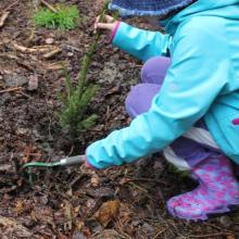 Děti se učí o práci v lese, mohou si vysadit stromek a zalesněné plochy po čase kontrolovat (Lesní pedagogika na jihu Čech)