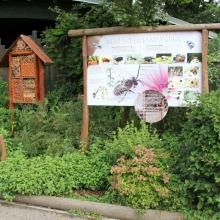 Environmentální vzdělávání v zoologické zahradě v Hluboké nad Vltavou